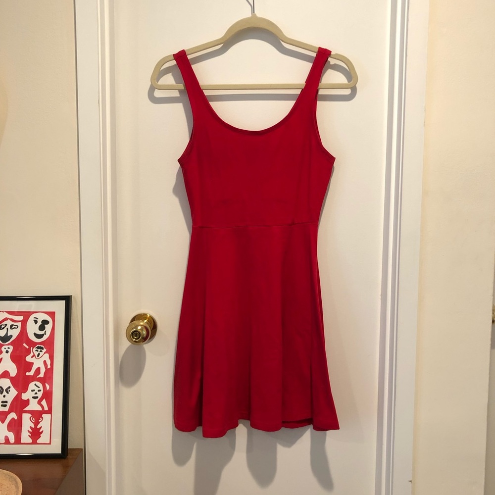 Express Red Skater Dress